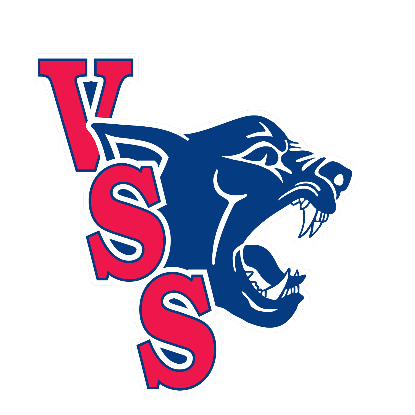 VSS PANTHER LOGO